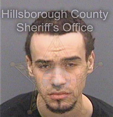 Tyson David - Hillsborough County, FL 