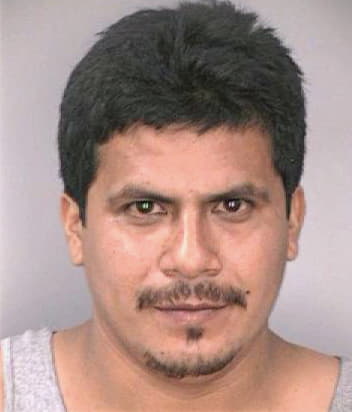 Perezavianeda Isaias - Hillsborough County, FL 