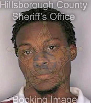 Guerrier Jonas - Hillsborough County, FL 