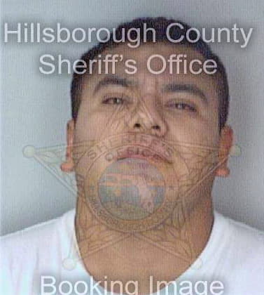 Torres Abel - Hillsborough County, FL 
