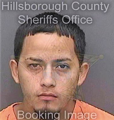 Garcia Carlos - Hillsborough County, FL 