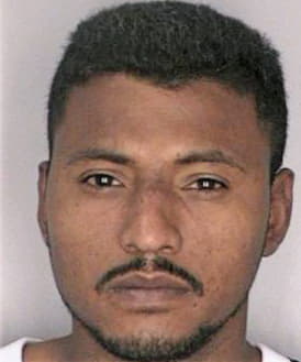 Garciaflorez Melvin - Hillsborough County, FL 