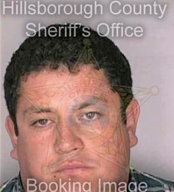 Dalmau Pedro - Hillsborough County, FL 