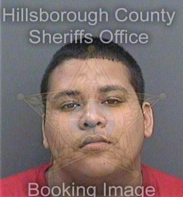 Valle Christopher - Hillsborough County, FL 