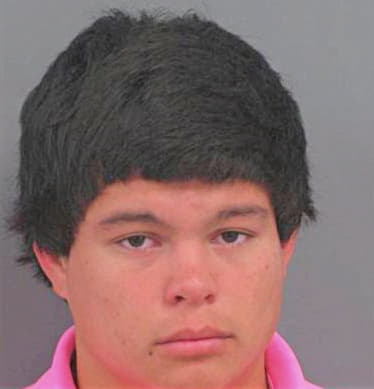 Gonzalez-Ferreyra Adrian - Catoosa County, GA 