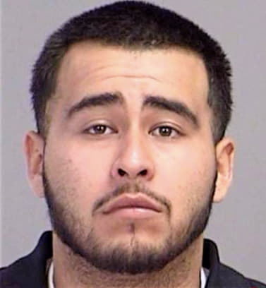 Hernandez Alex - Brazos County, TX 