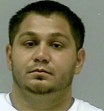 Beganovic Elvir - Gwinnett County, GA 