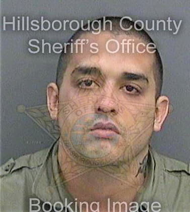 Serrano Evan - Hillsborough County, FL 