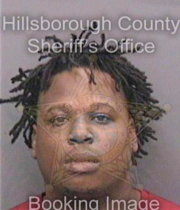 Wiggs Larry - Hillsborough County, FL