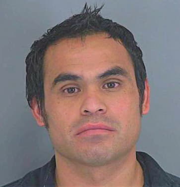 Silva-Salazar Luis - Spartanburg County, SC 