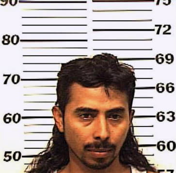 Sanchez Nelson - Denton County, TX 