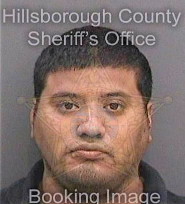 Banda Neri - Hillsborough County, FL 