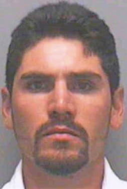 Garcia-Arellanoo Raymundo - Lee County, FL 