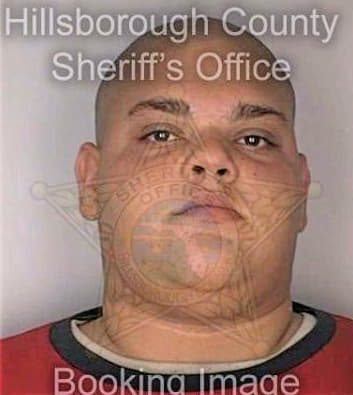 Cruz Robert - Hillsborough County, FL 