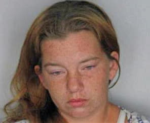 Lincoln Sarah - Hillsborough County, FL 
