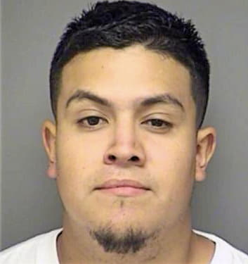 Alvarado Alfredo - Denton County, TX 