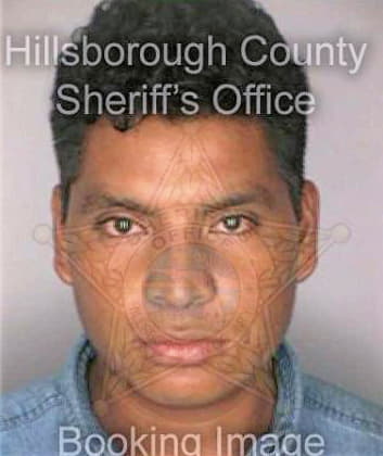 Gomez Domingo - Hillsborough County, FL 