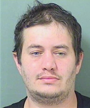 Trafelet Donalddavid - PalmBeach County, FL 