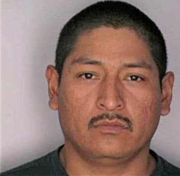 Arcehernandez Guillermo - Hillsborough County, FL 