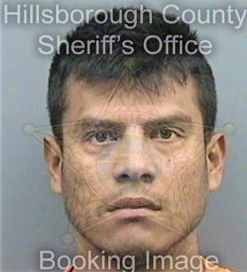 Jimenez Javier - Hillsborough County, FL 