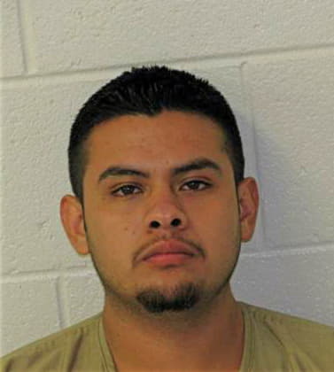 Castaneda Juan - Newton County, GA 