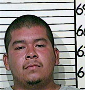 Trevino Mark - Comal County, TX 
