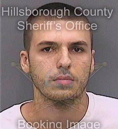 Brooks Andersen - Hillsborough County, FL 