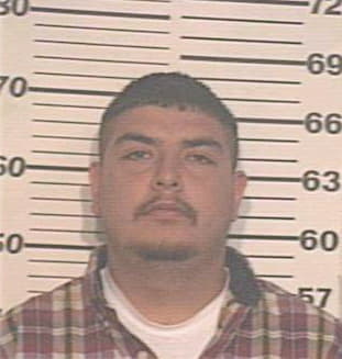Gonzalez Michael - Hidalgo County, TX 