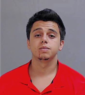 Villarreal Ricardo - Hidalgo County, TX 