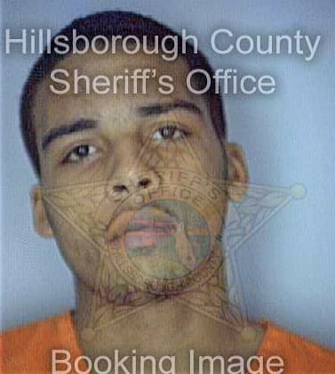 Cumberbatch Anthony - Hillsborough County, FL 