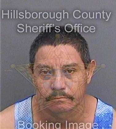 Salgadobailon Gildardo - Hillsborough County, FL 