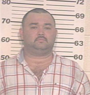 Gonzalez Rene - Hidalgo County, TX 