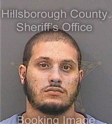 Valencia Alexander - Hillsborough County, FL 