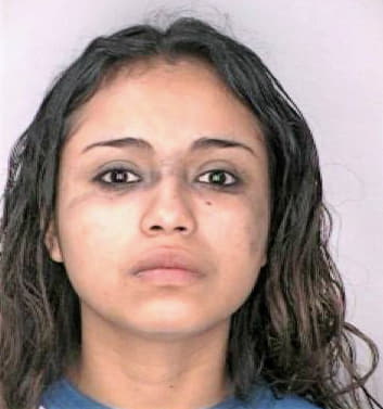 Garciabravo Denisse - Hillsborough County, FL 