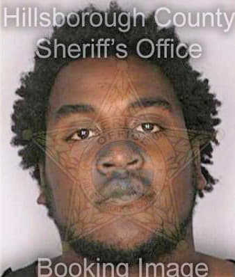 Beasley Nathaniel - Hillsborough County, FL 
