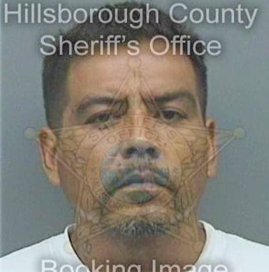 Palomo Jose - Hillsborough County, FL 