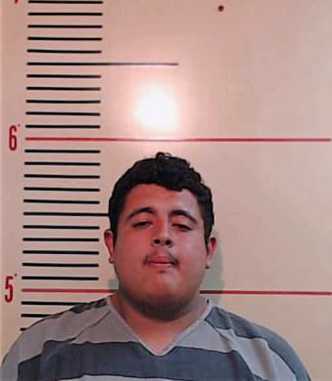 Moreno-Ayala Juan - Parker County, TX 