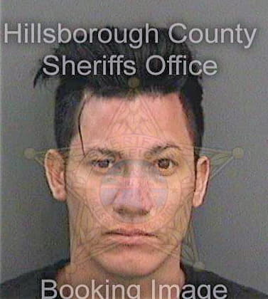 Baladronjimenez Michael - Hillsborough County, FL 