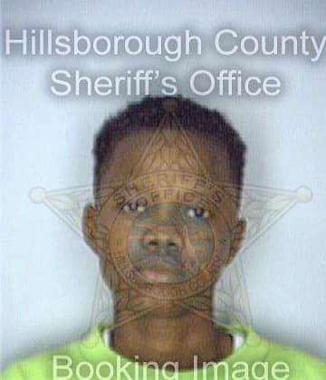 Williamsrhynes Nekeshia - Hillsborough County, FL 