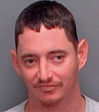 Rivera Diego - Pinellas County, FL 