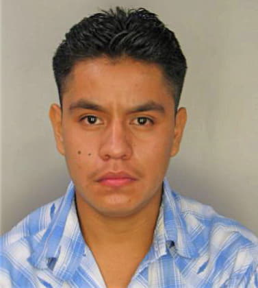 Lopezsanchez Hugo - Hillsborough County, FL 