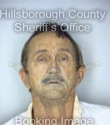 Reynolds Michael - Hillsborough County, FL 