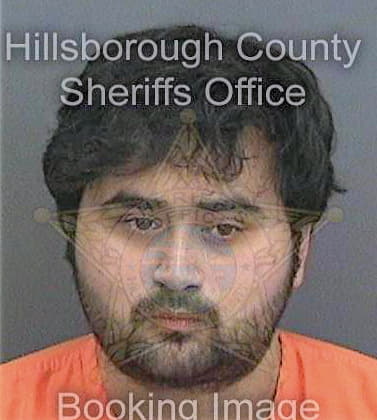 Vijayakishoresingh Sachin - Hillsborough County, FL 