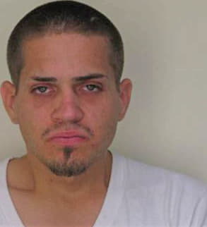 Arriola Andres - Hillsborough County, FL 