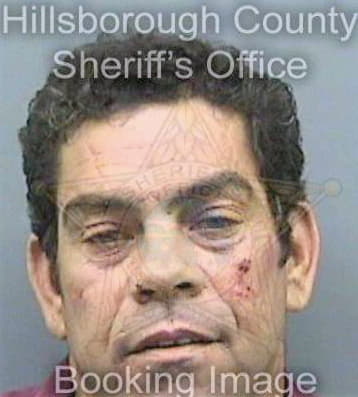 Dominguezcuellar Mauricio - Hillsborough County, FL 