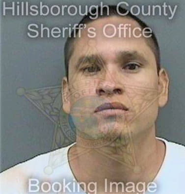 Flores Octavio - Hillsborough County, FL 