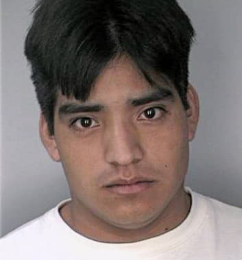 Mendez Walfe - Hillsborough County, FL 