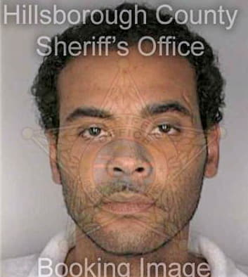 Hamilton Nathan - Hillsborough County, FL 