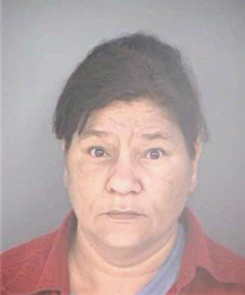 Serrano Rosa - Hillsborough County, FL 