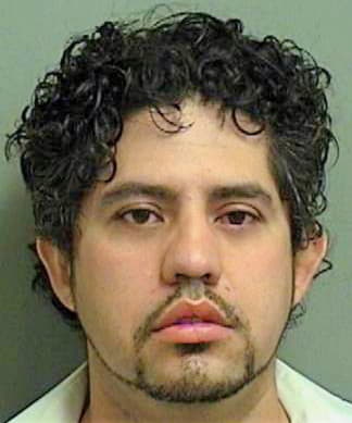 Gonzalez Albert - PalmBeach County, FL 